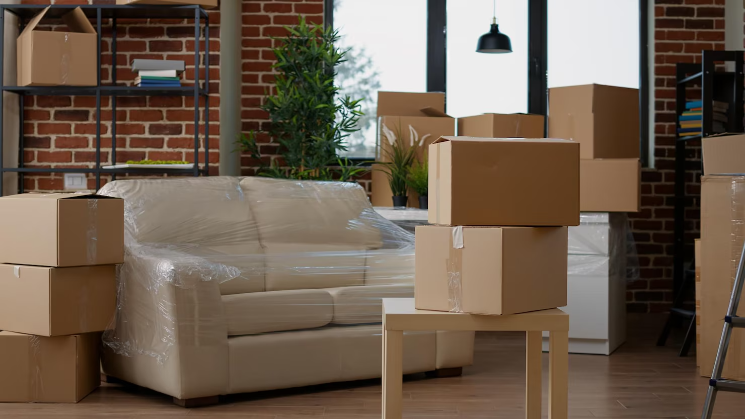 no hay personas interior sala estar mudarse cajas carton propiedades inmobiliarias vacias llenas car